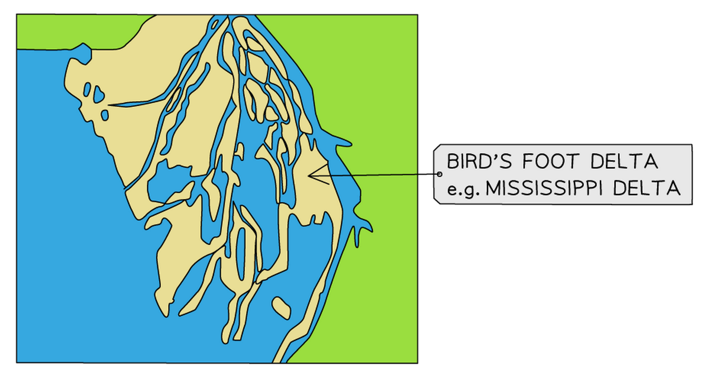 Bird's foot delta diagram
