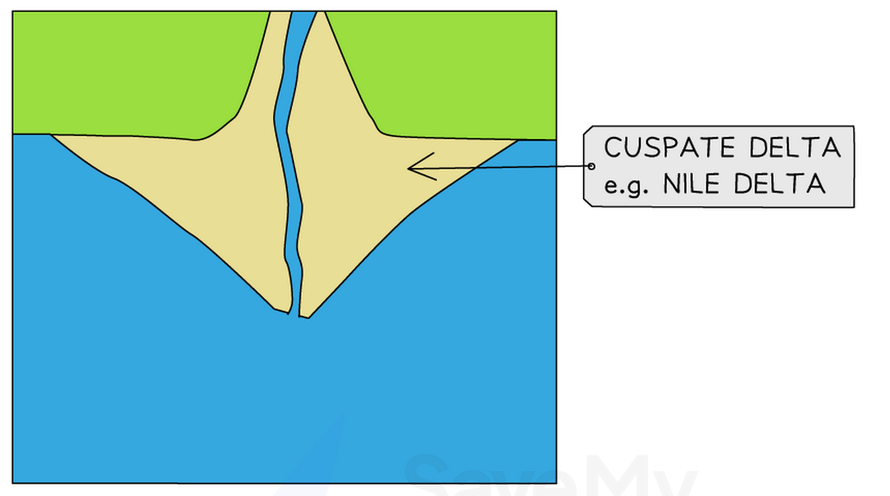 Cuspate delta diagram